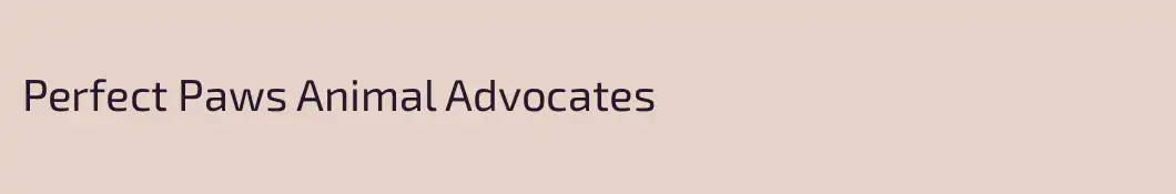 Perfect Paws Animal Advocates 